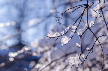 Crystals of ice against a bright spring sky. Beautiful frozen landscape.の写真素材