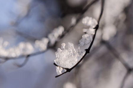 Crystals of ice against a bright spring sky. Beautiful frozen landscape.の写真素材