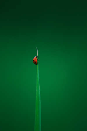 up and upの写真素材