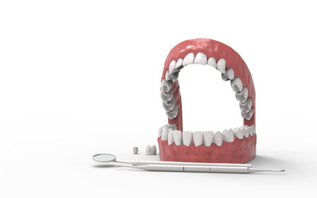 Tooths on white background. 3D rendering.
