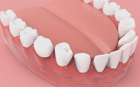 Tooths on background. 3D rendering.