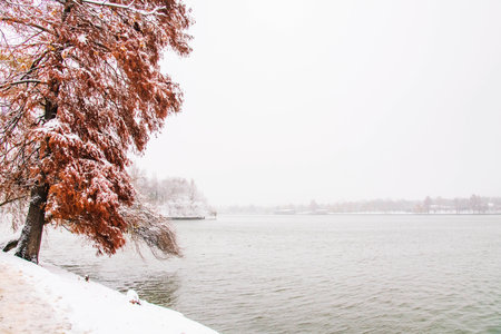 Winter season at Herastrau park Bucharest,Romania.A maginificent landscape covered with snowの写真素材