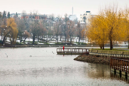 Outdoor scenery in Bordei public park in Bucharest.A beautiful scenery on a cold day after snowy dayの写真素材