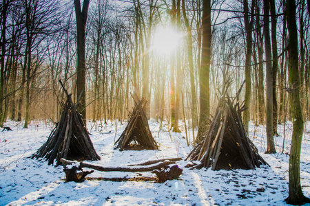 Magic forest during  winter with falling snow sunny day. Snow forest snowfall. Christmas Winter New Year background magnificent scenery.
Cold temperatureの写真素材