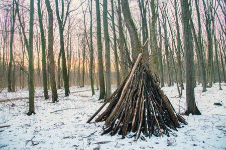 Magic forest during  winter with falling snow sunny day. Snow forest snowfall. Christmas Winter New Year background magnificent scenery.Cold temperatureの写真素材