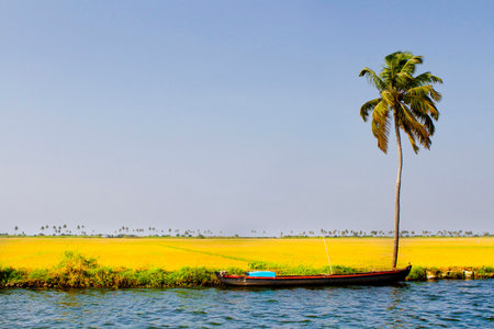 Houseboats on the backwaters of Kerala in Alappuzha (Alleppey) in India. A traditional tourist attraction is the house-boat on the river channels of Kerala.の写真素材