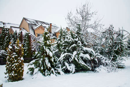 Snow covered yard with a pool in a beautiful neighborhood in Bucharest. Christmas background. Cold temperature, winter timeの写真素材