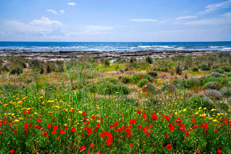 A view of a beautiful sea view in Ayia thekla in Ayia Napa,Cyprus.の写真素材