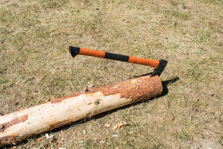 Ax in a log on a picnic, in the woods