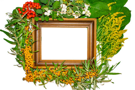 A frame for graffiti and photographs decorated with nature, the oak acorns flowers