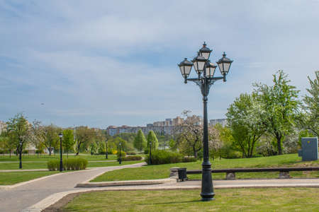 Lamp on the lawn. In the park with bushes and lawnsの写真素材