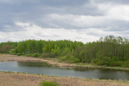 spring landscape river forest trees against the blue sky and clouds