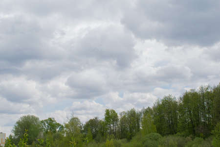 spring landscape river forest trees against the blue sky and cloudsの写真素材