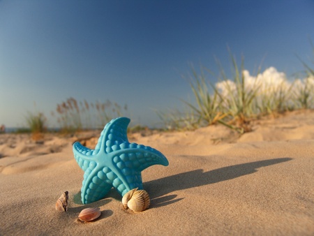 Children's toy in the form of a starfish on sand against the blue sky not in focus.の写真素材