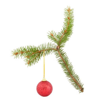 Branch of a fur-tree with a New Year's toy on a white background.の写真素材