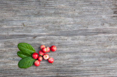 Berries and cowberry leaves on an old wooden board の写真素材
