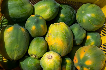 Crate full of healthy papaya fruits