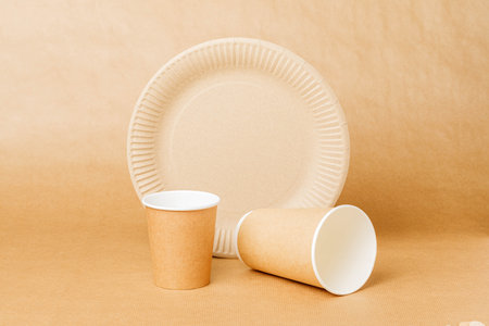 Disposable paper tableware on disposable paper tableclothの写真素材