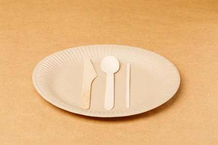 disposable paper tableware on disposable paper tablecloth. Disposable plate, container, box, cup, knife, spoonの写真素材