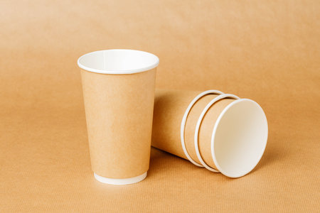 disposable paper tableware on disposable paper tablecloth. Disposable plate, container, box, cup, knife, spoonの写真素材