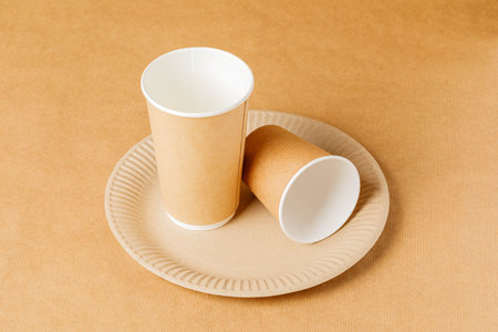 disposable paper tableware on disposable paper tablecloth. Disposable plate, container, box, cup, knife, spoonの写真素材