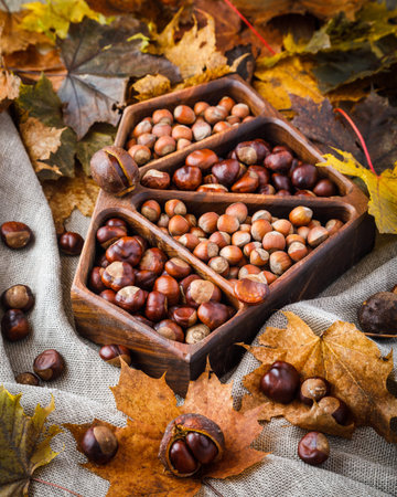 autumn still life with horse chestnuts on wooden background