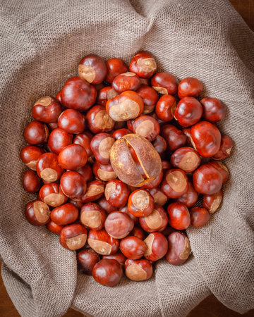 autumn still life with horse chestnuts on wooden backgroundの写真素材