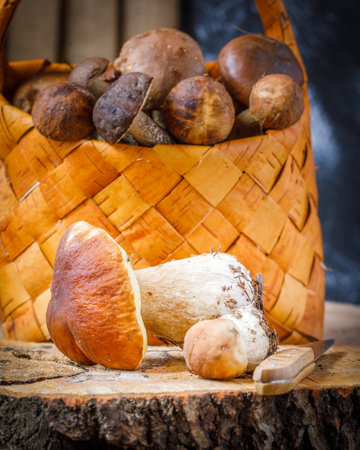 still life with forest mushrooms on wooden background and in a basketの写真素材