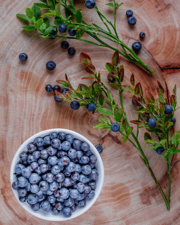 still life with forest blueberries on wooden backgroundの写真素材
