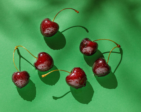 still life with cherries on a green backgroundの写真素材
