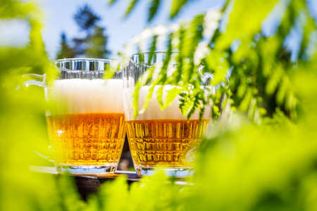 two mugs of beer and traditional Latvian midsummer festの写真素材