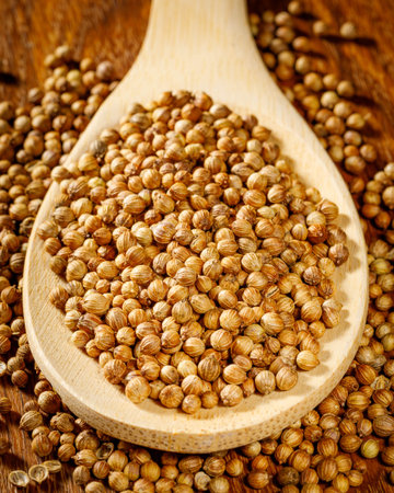 Heap of raw, unprocessed organic coriander or cilantro seeds