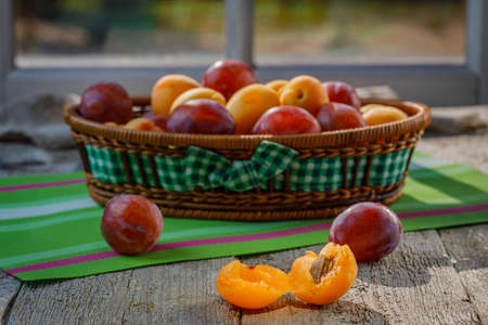 fresh ripe apricots in a basket on a wooden tableの写真素材