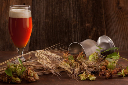 A glass of dark beer with beer foam hat. In the foreground ears of barley and fresh hops - brewing...