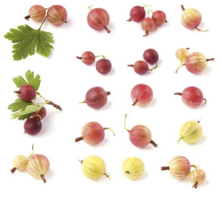 Gooseberry collection on white backgroundの写真素材