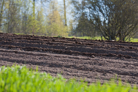 Agricultural soil of a field in the springtime  Selective focus 