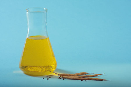 Rapeseed (oilseed) is used to make vegetable oil and biofuels.