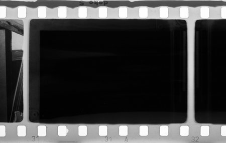 A strip of BW 35mm film isolated on white background  May use as a background 