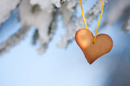 Snow-covered fir branches decorated with Heart-shaped gingerbreadの写真素材