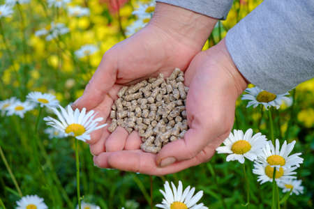 Hands with the granular fertilizer on the blooming garden in the backgroundの写真素材