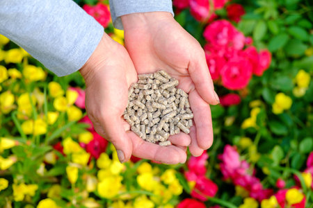 Hands with the granular fertilizer on the blooming garden in the background