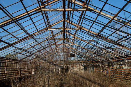old abandoned greenhouse healed with trees and damaged roofsの写真素材