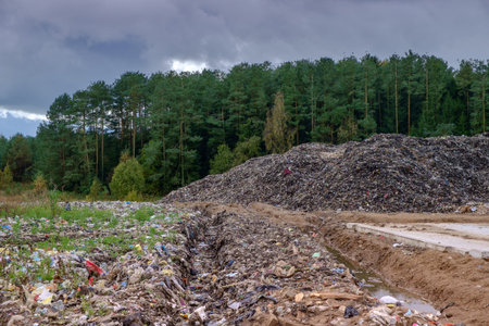 waste recycling sorting in Ozolaines parish, Rezekne county, Latvia 07.10.2017.