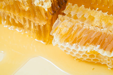 Piece of honeycomb with honey in closeup, healthy products by organic ingredients