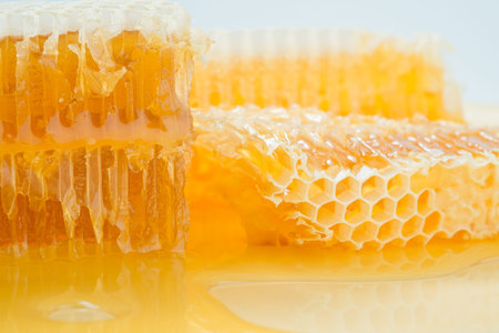 Piece of honeycomb with honey in closeup, healthy products by organic ingredientsの写真素材