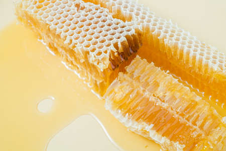 Piece of honeycomb with honey in closeup, healthy products by organic ingredientsの写真素材