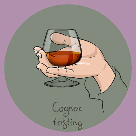 Female or male hand holding a cognac glass. cognac/brandy tasting. Vector drawing.のイラスト素材