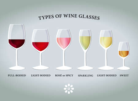 Types of proper wine glasses. Vector drawing.のイラスト素材