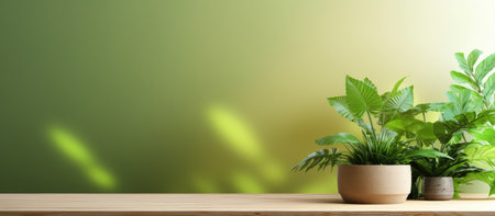 Green plant in pot on wooden table and green wall background,3D renderingの素材