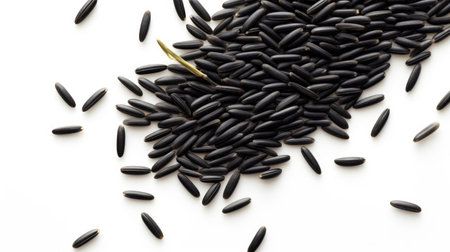 Black wild rice isolated on white background. Top view. Flat lay.の素材